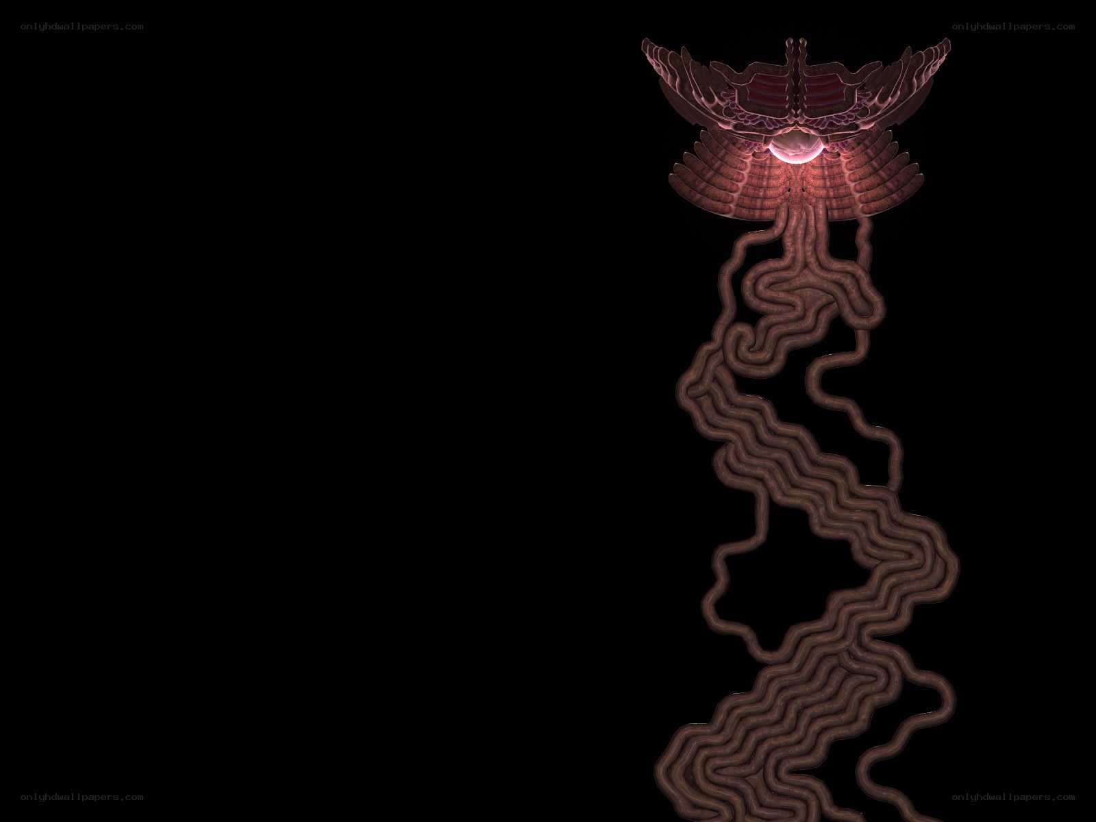 abstract organic form with glowing core