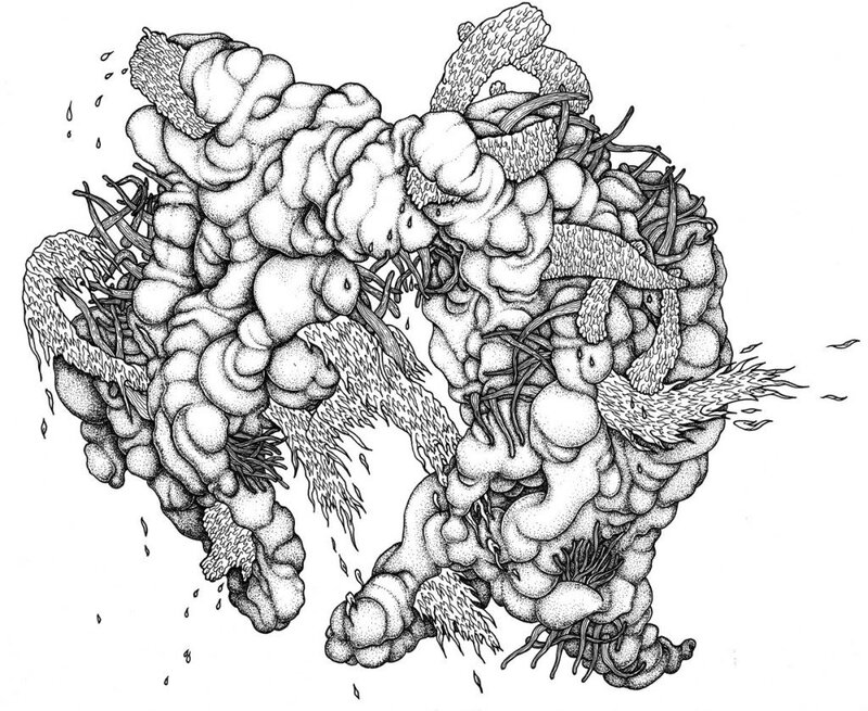 abstract organic forms drawing
