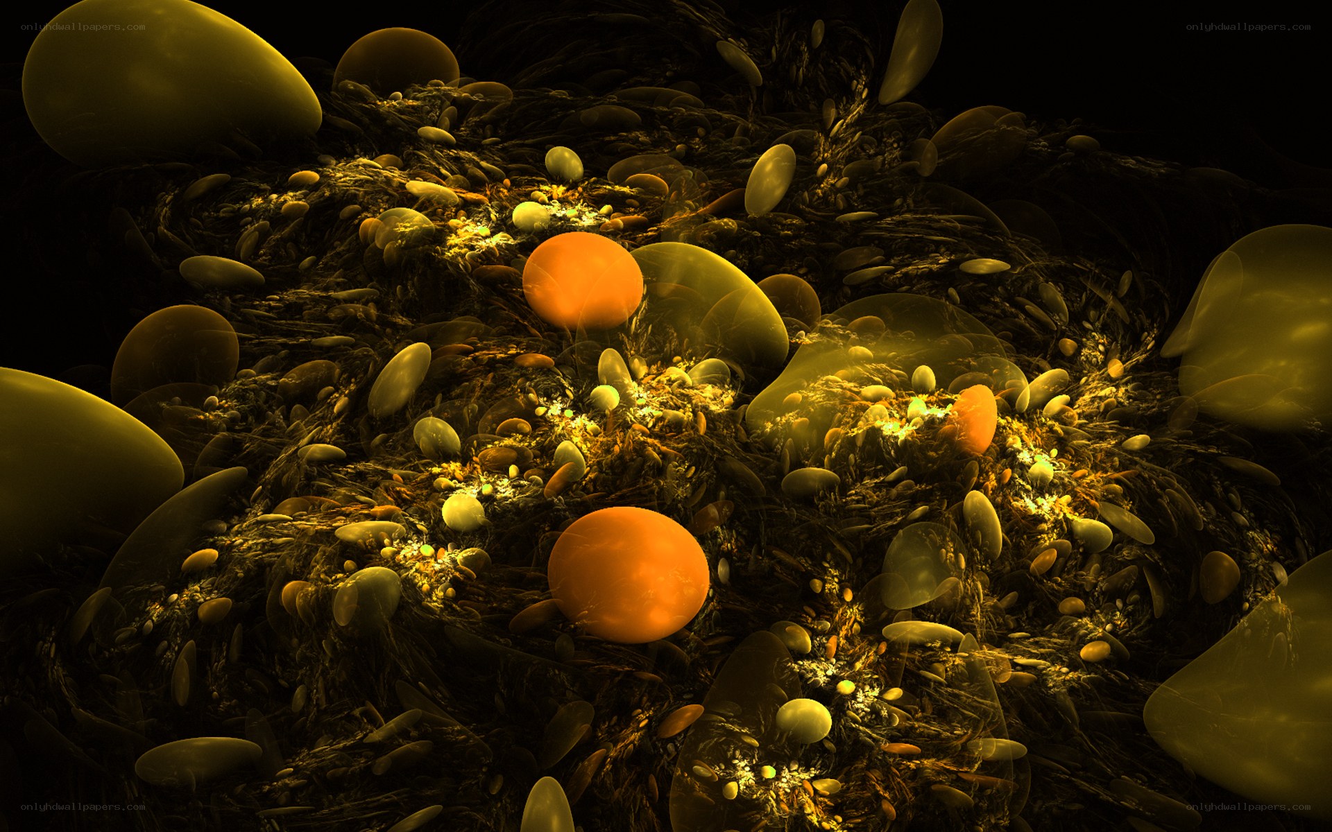 Abstract organic forms in golden light