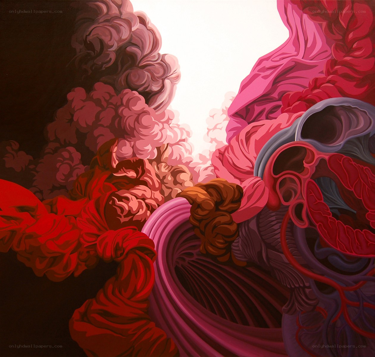 Abstract organic forms in red and pink