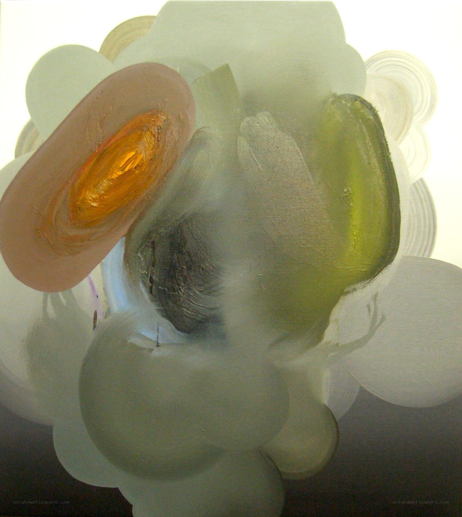 Abstract organic forms in soft light