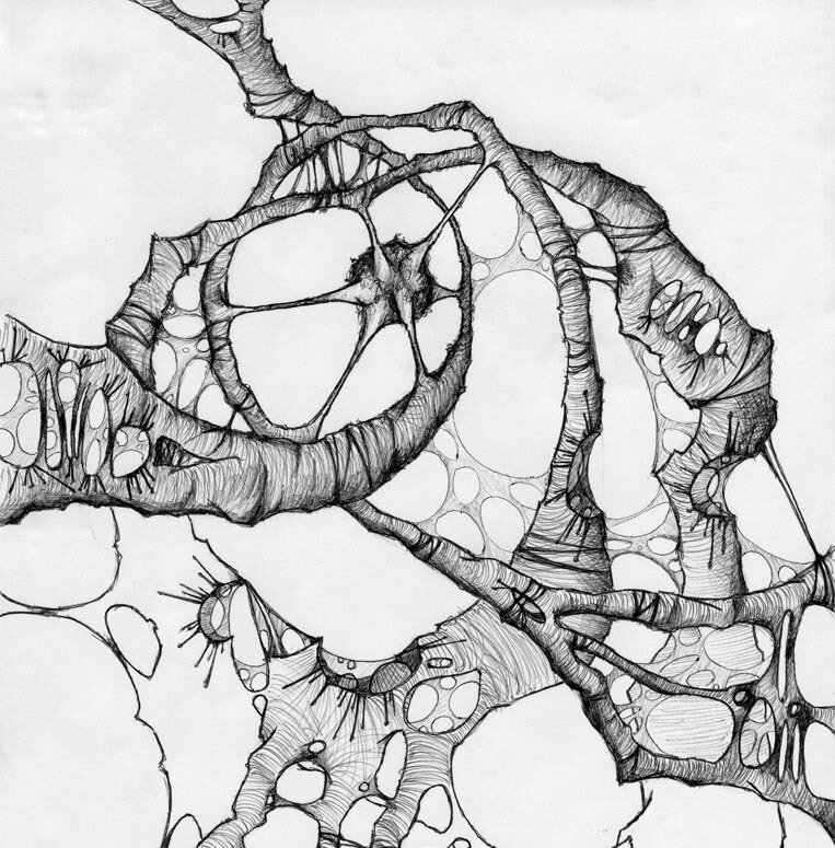 abstract organic line drawing