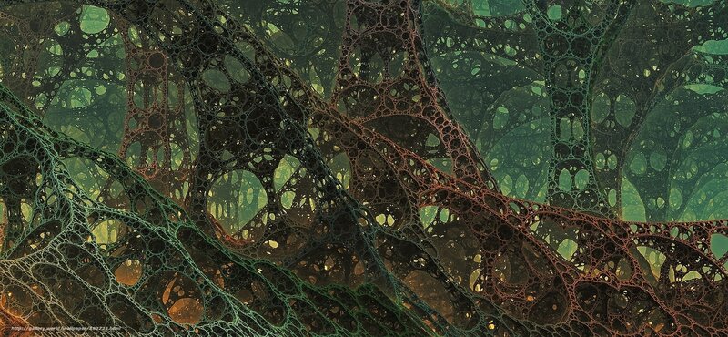 Abstract organic network structure