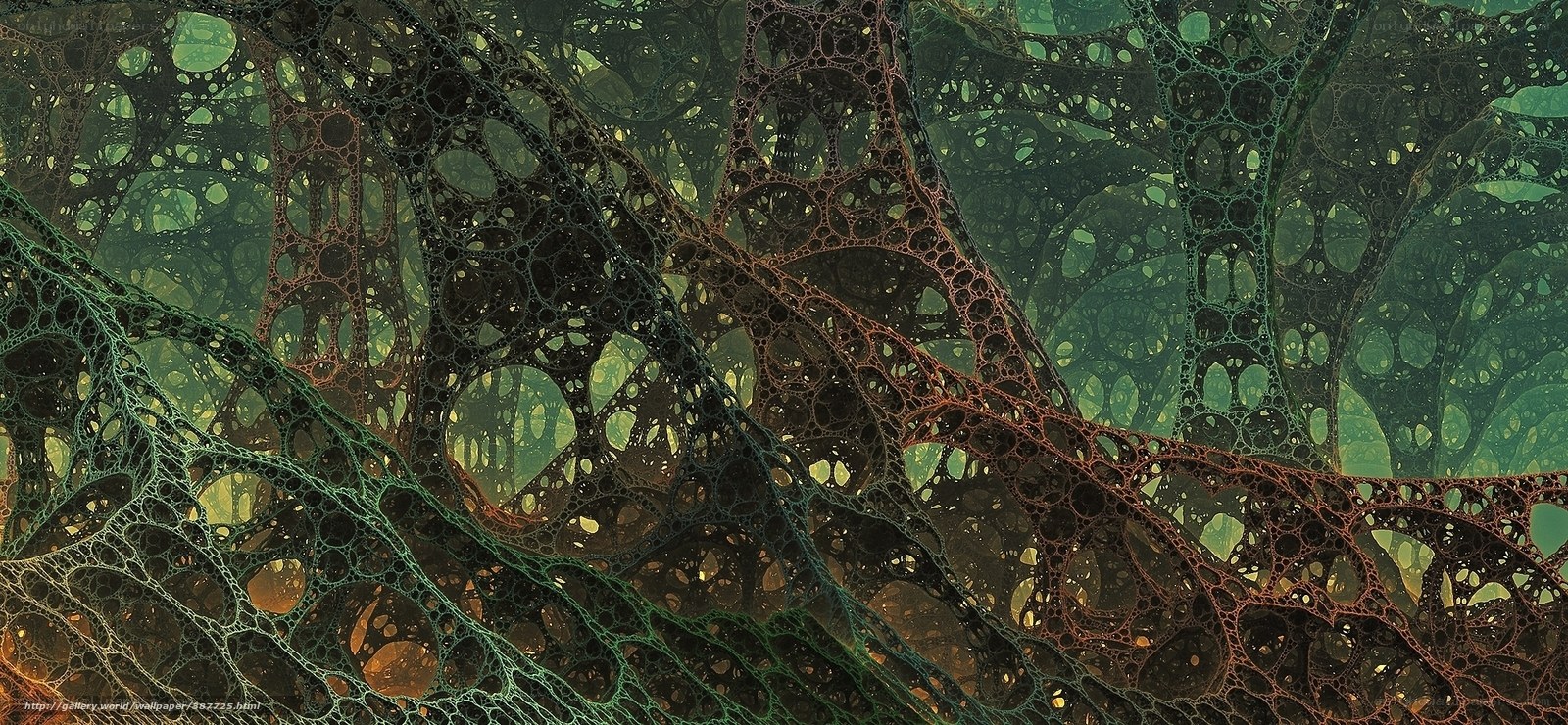 Abstract organic network structure