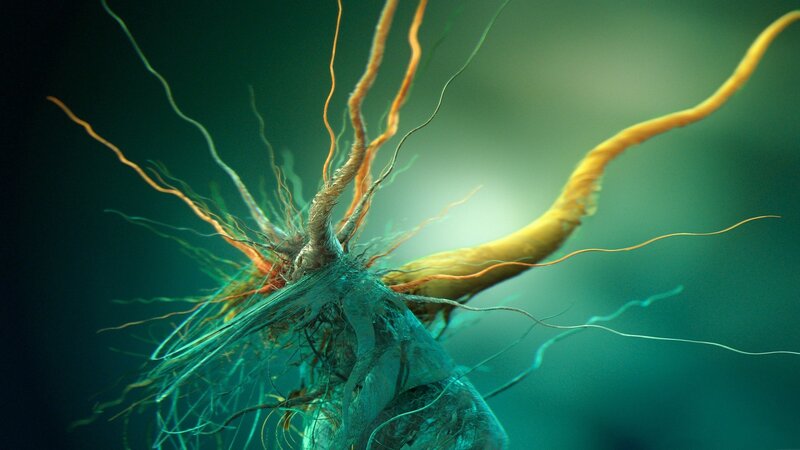 Abstract organic structure