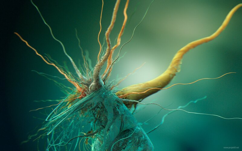 Abstract Organic Structure — Teal