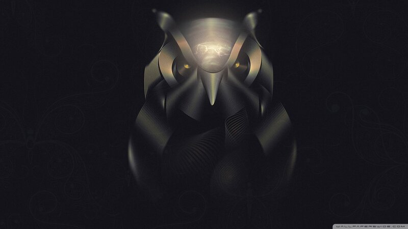 Abstract Owl Design — Black