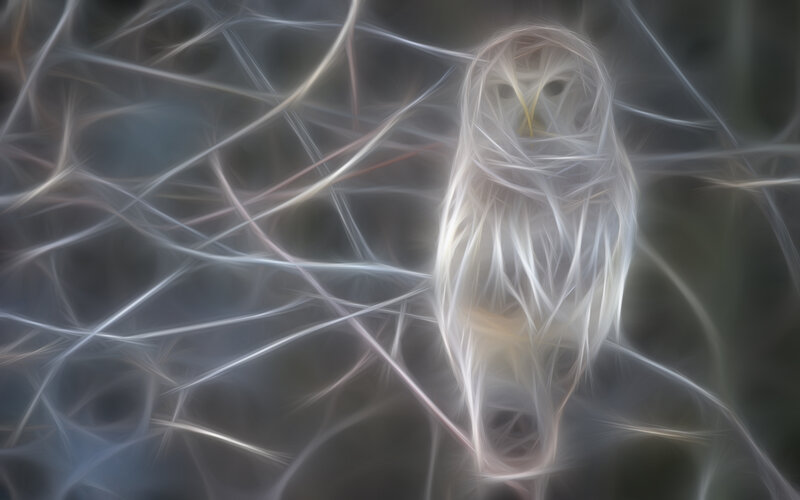 Abstract owl in light threads