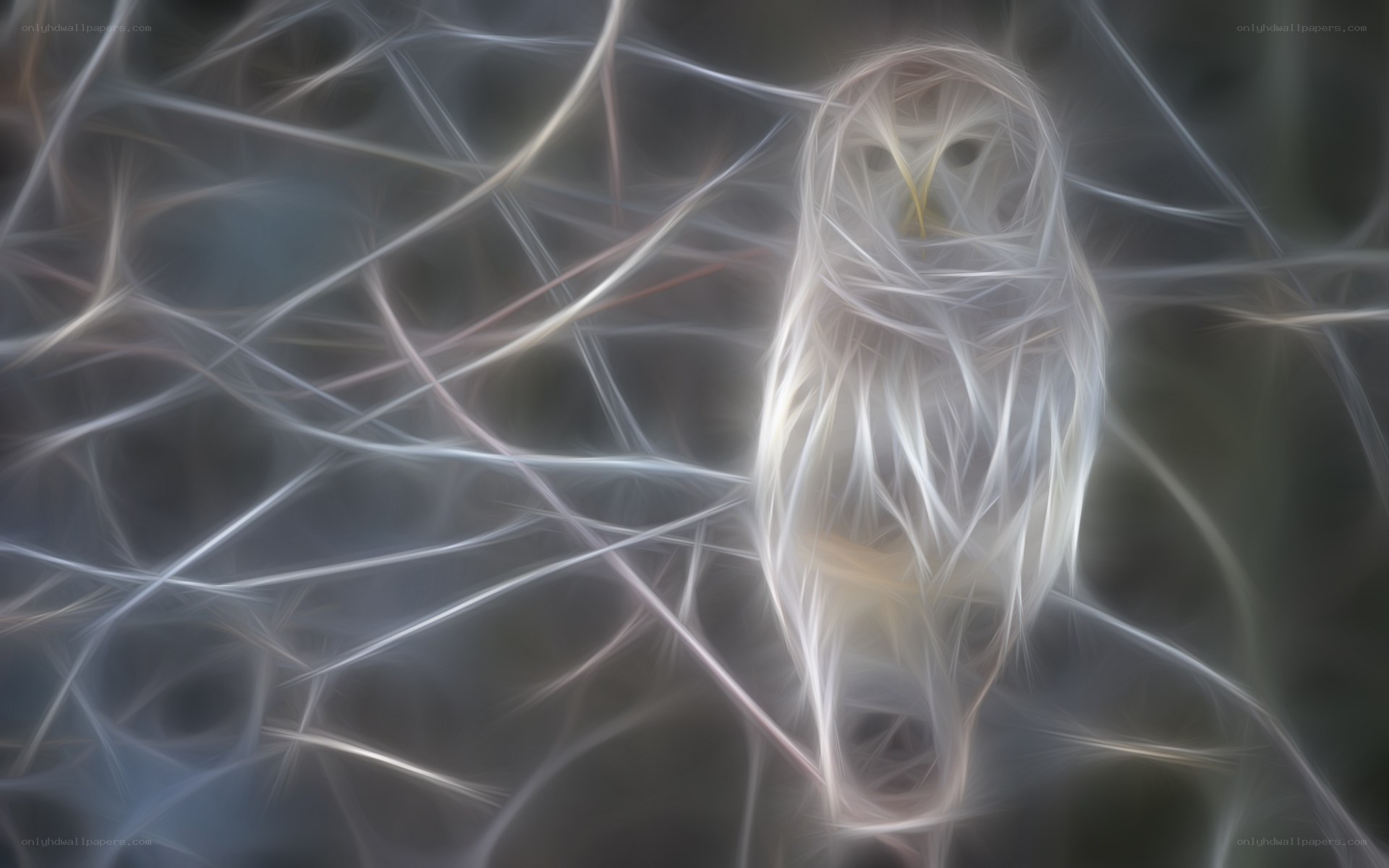 Abstract owl in light threads