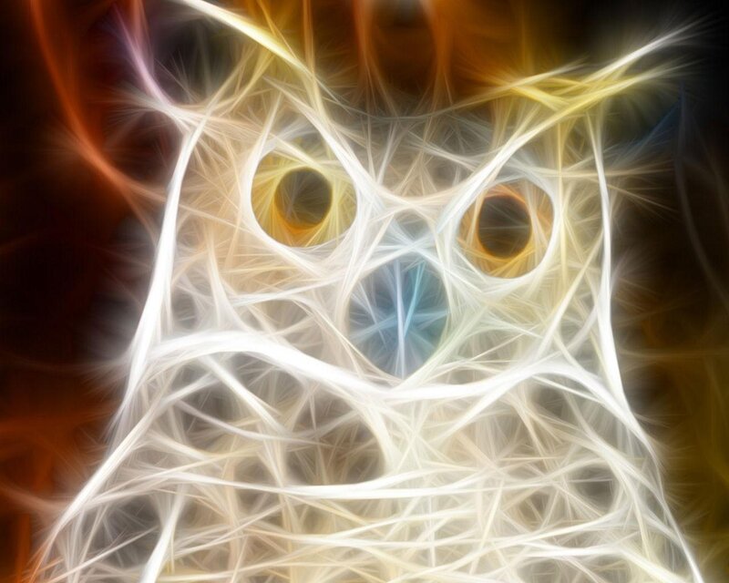 Abstract owl light pattern