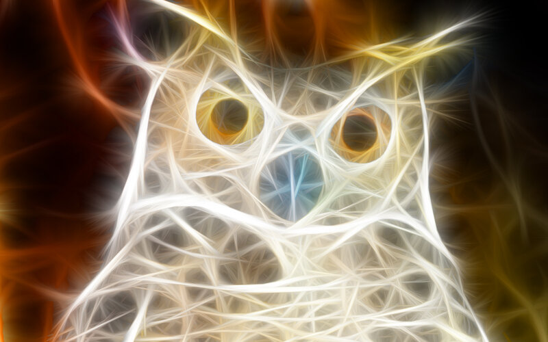 Abstract Owl Shape — White