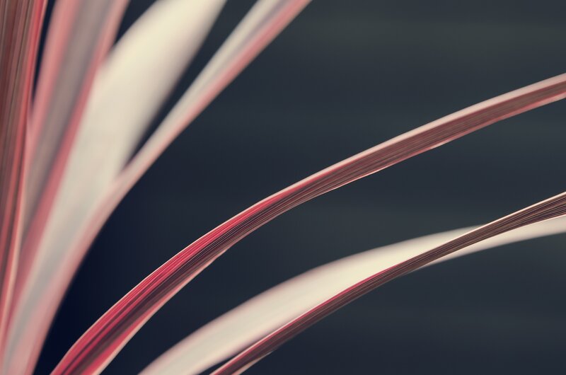 Abstract paper strips