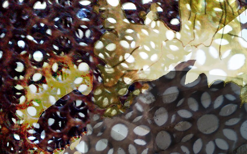 abstract pattern collage