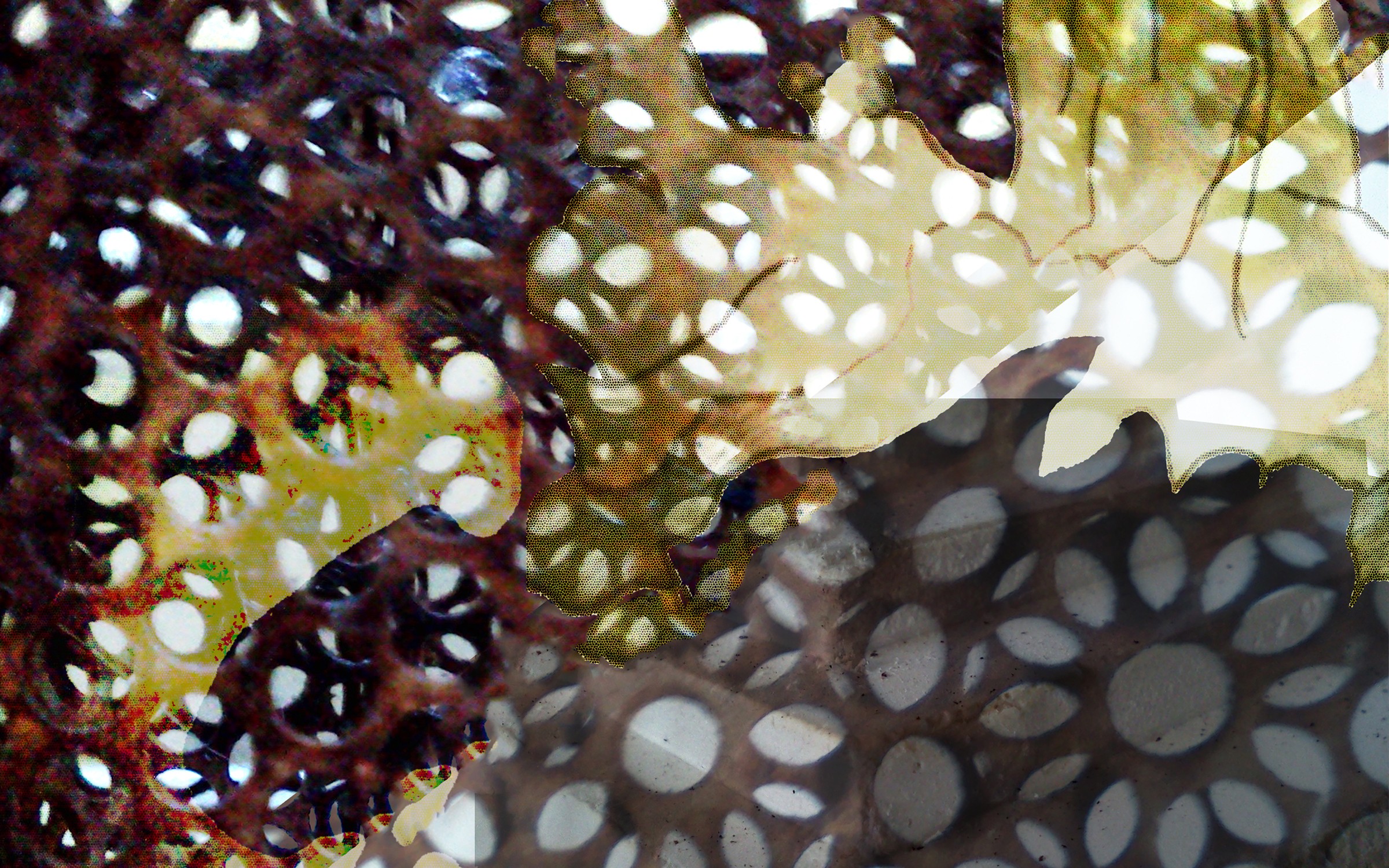 abstract pattern collage