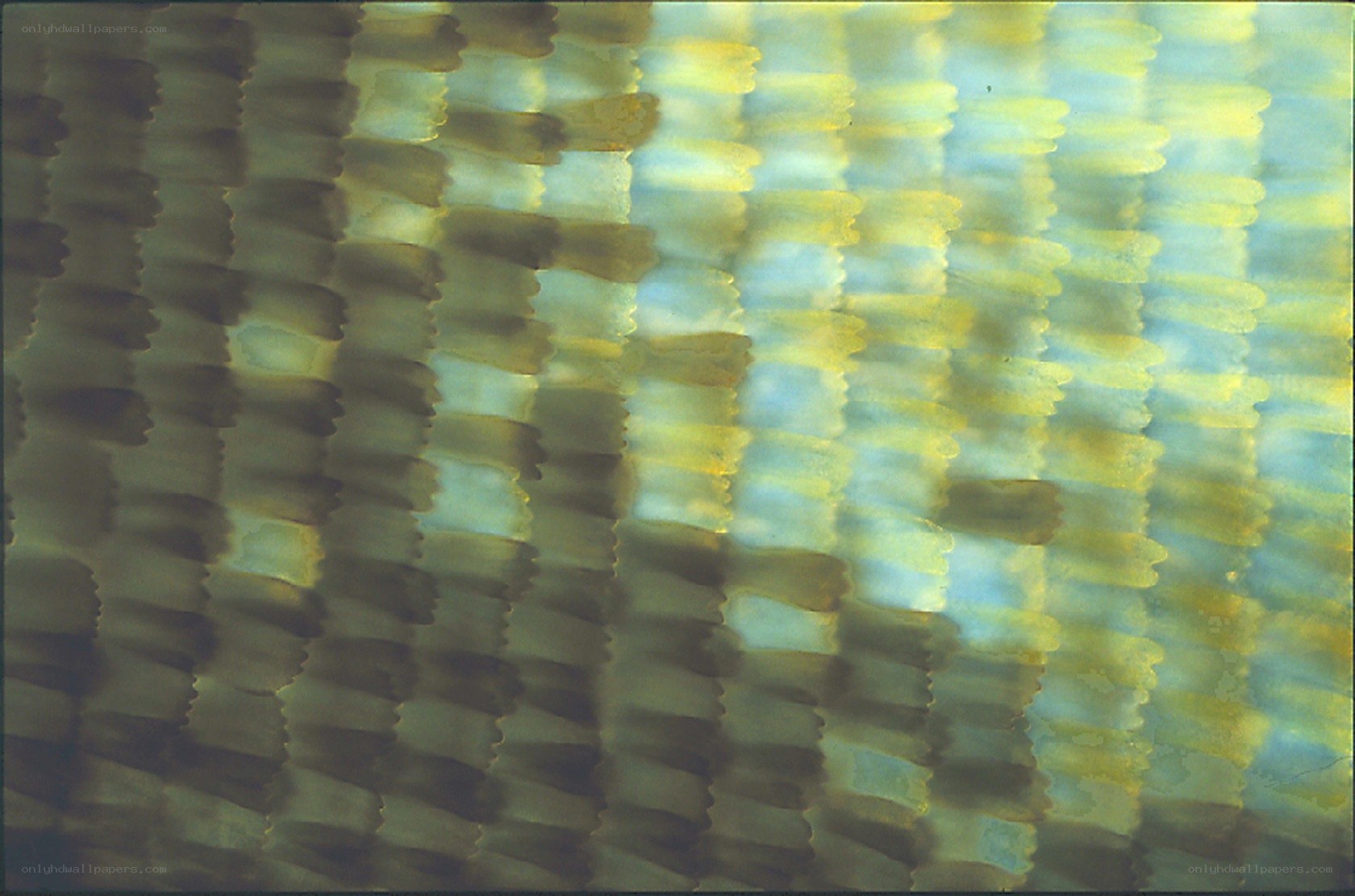 Abstract pattern of light and shadow