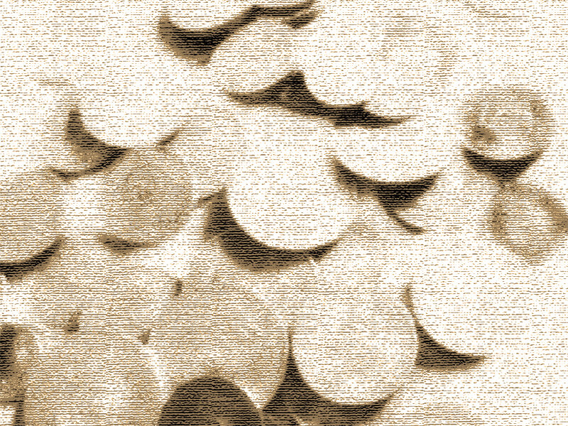 Abstract Pattern of Shapes