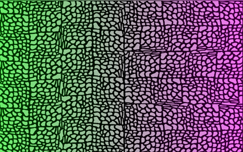 Abstract Pattern with Cells
