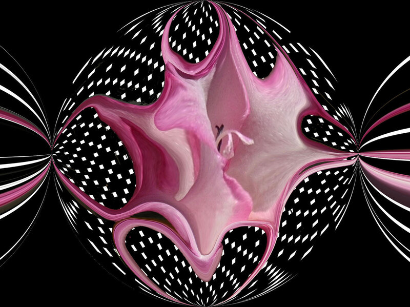 Abstract pink and black fractal art