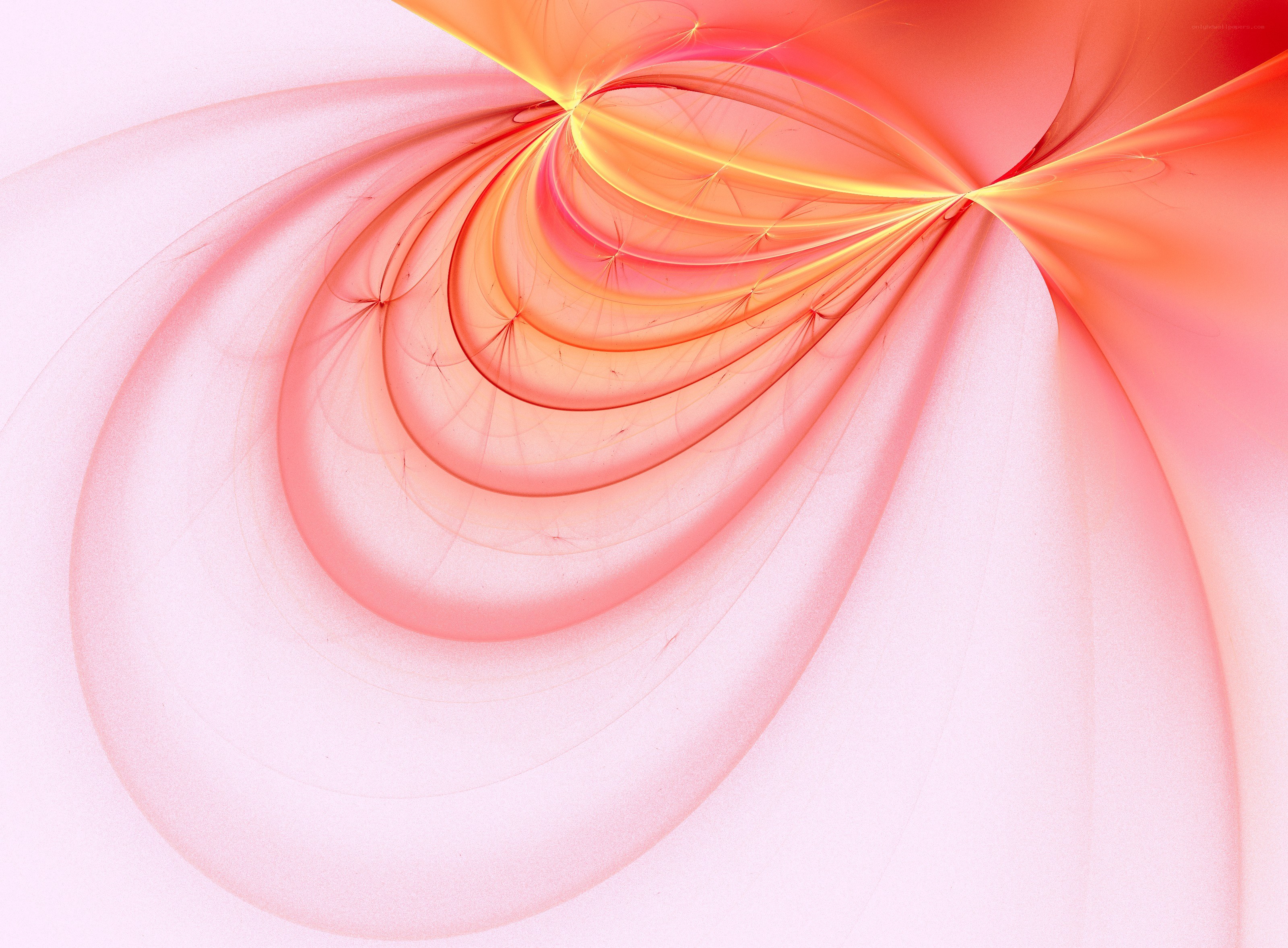 Abstract pink and orange swirl