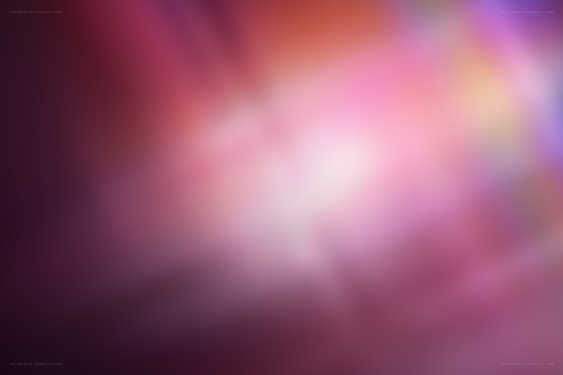 abstract pink and purple blur