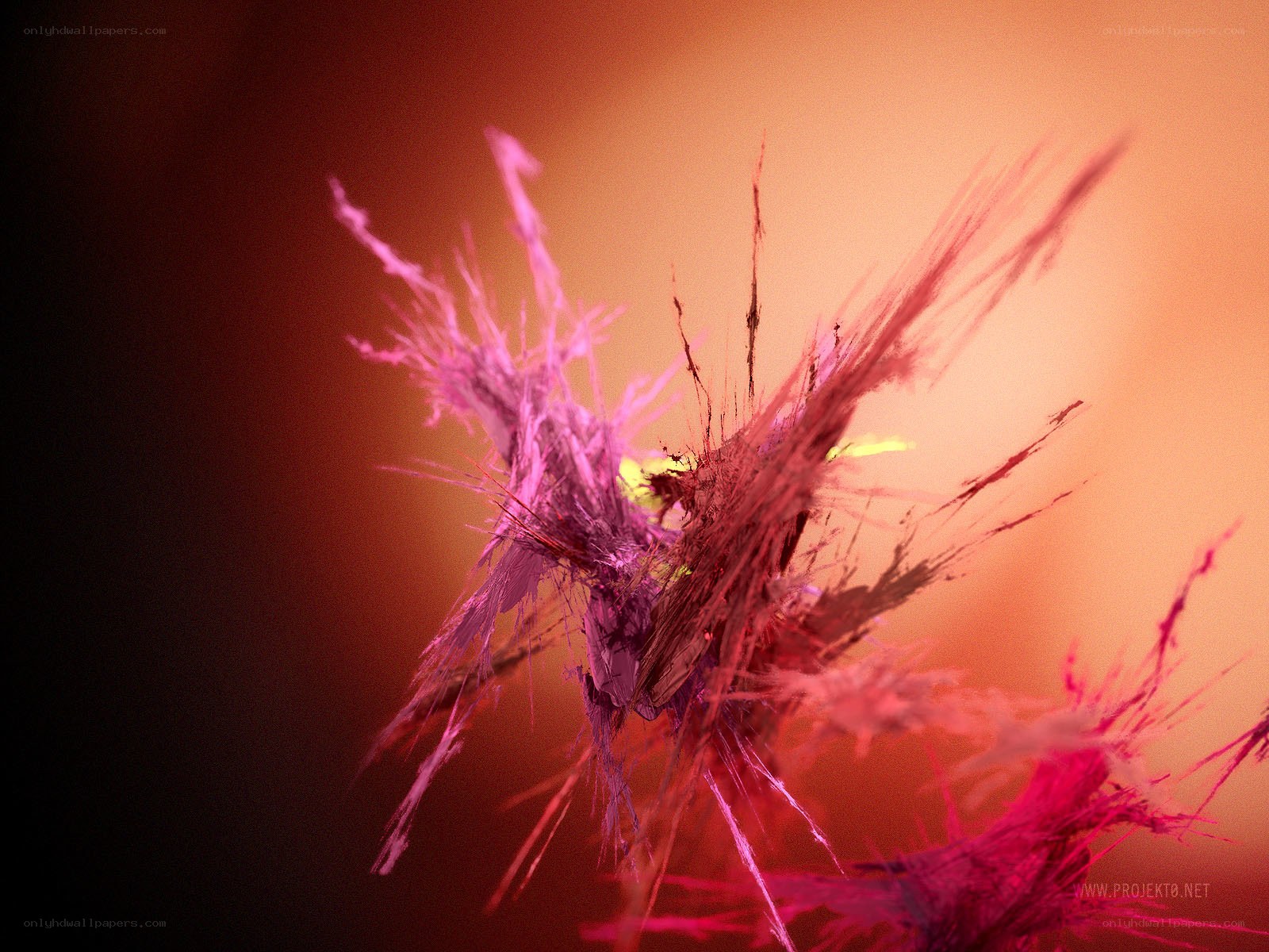 abstract pink and red explosion