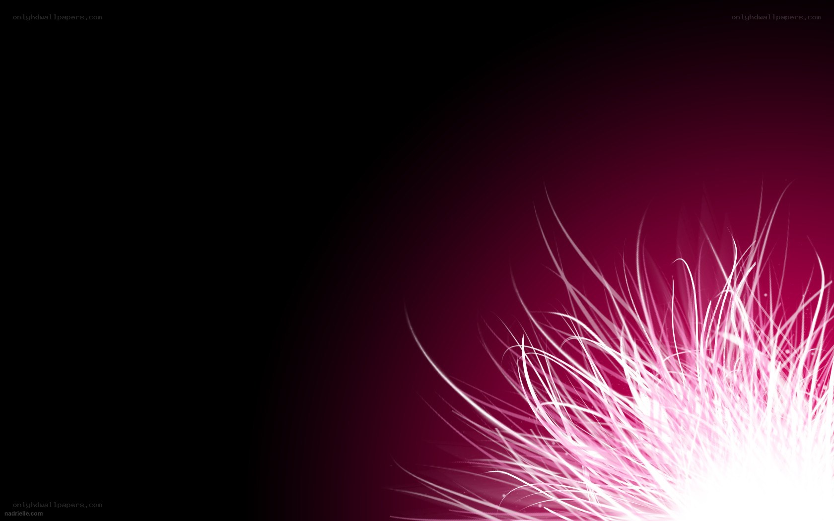 abstract pink and white design