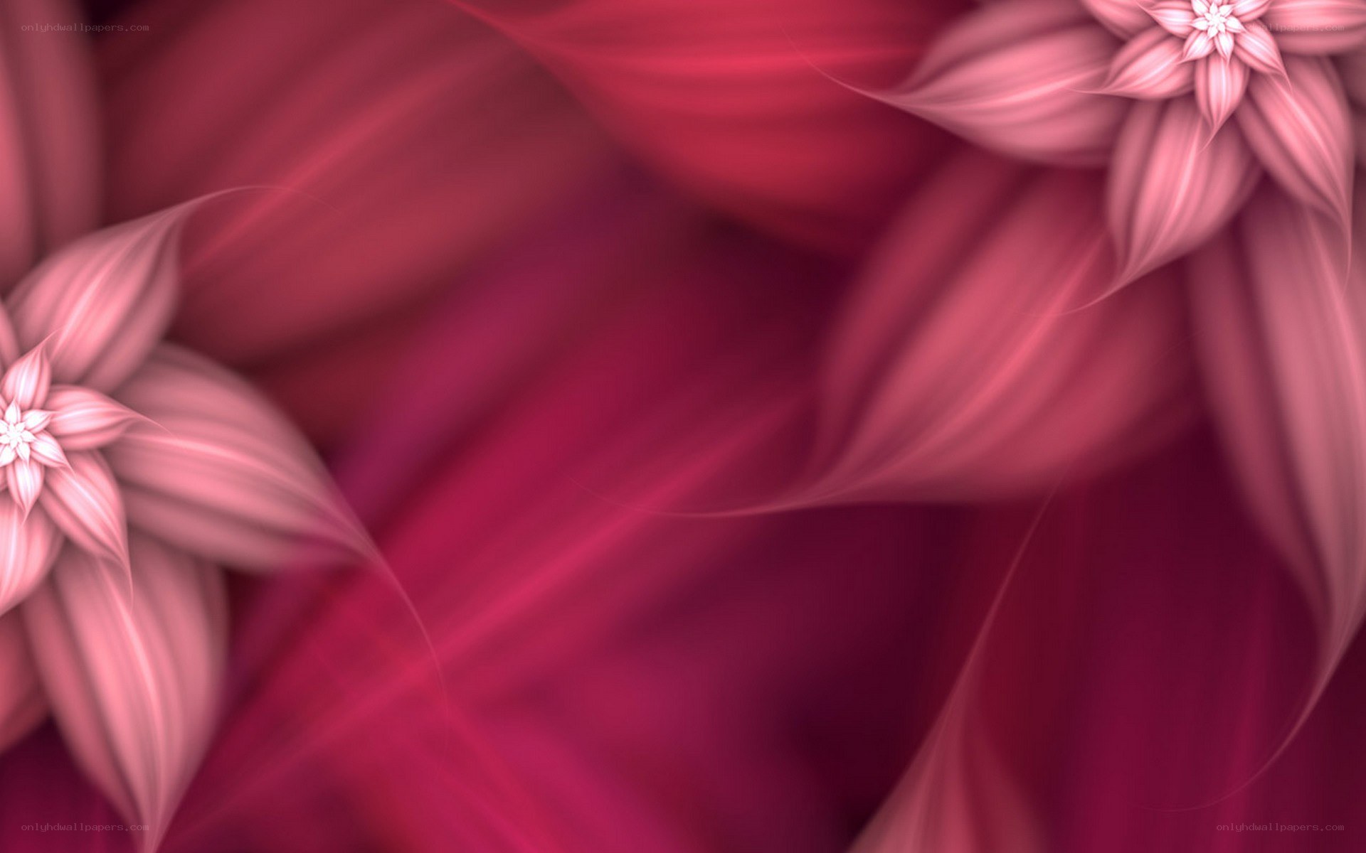abstract pink floral design