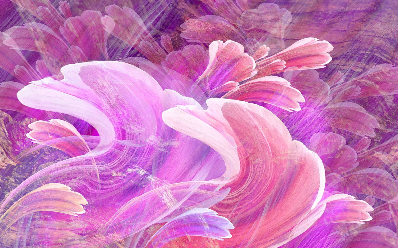 abstract pink floral pattern