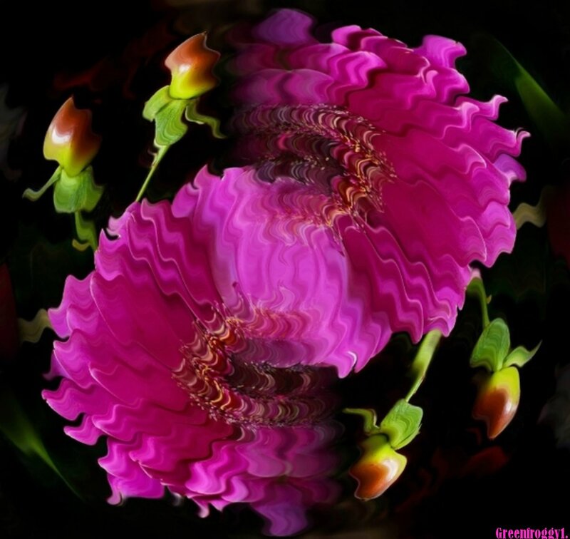 Abstract Pink Flower — Dramatic