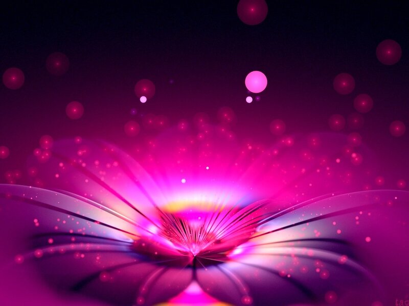 Abstract Pink Flower — Dreamy