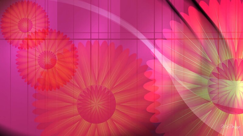 Abstract Pink Flowers — Vibrant