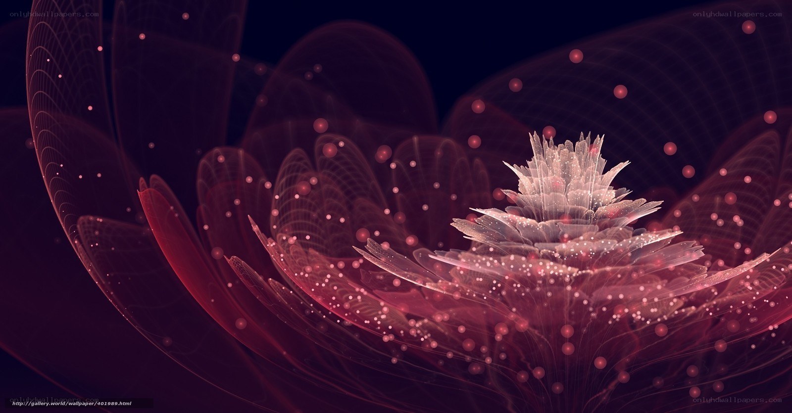 Abstract pink fractal flower