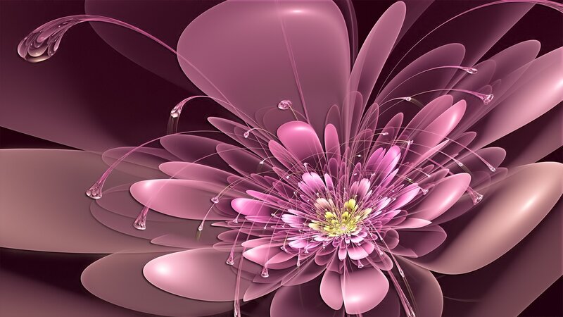 Abstract pink fractal flower