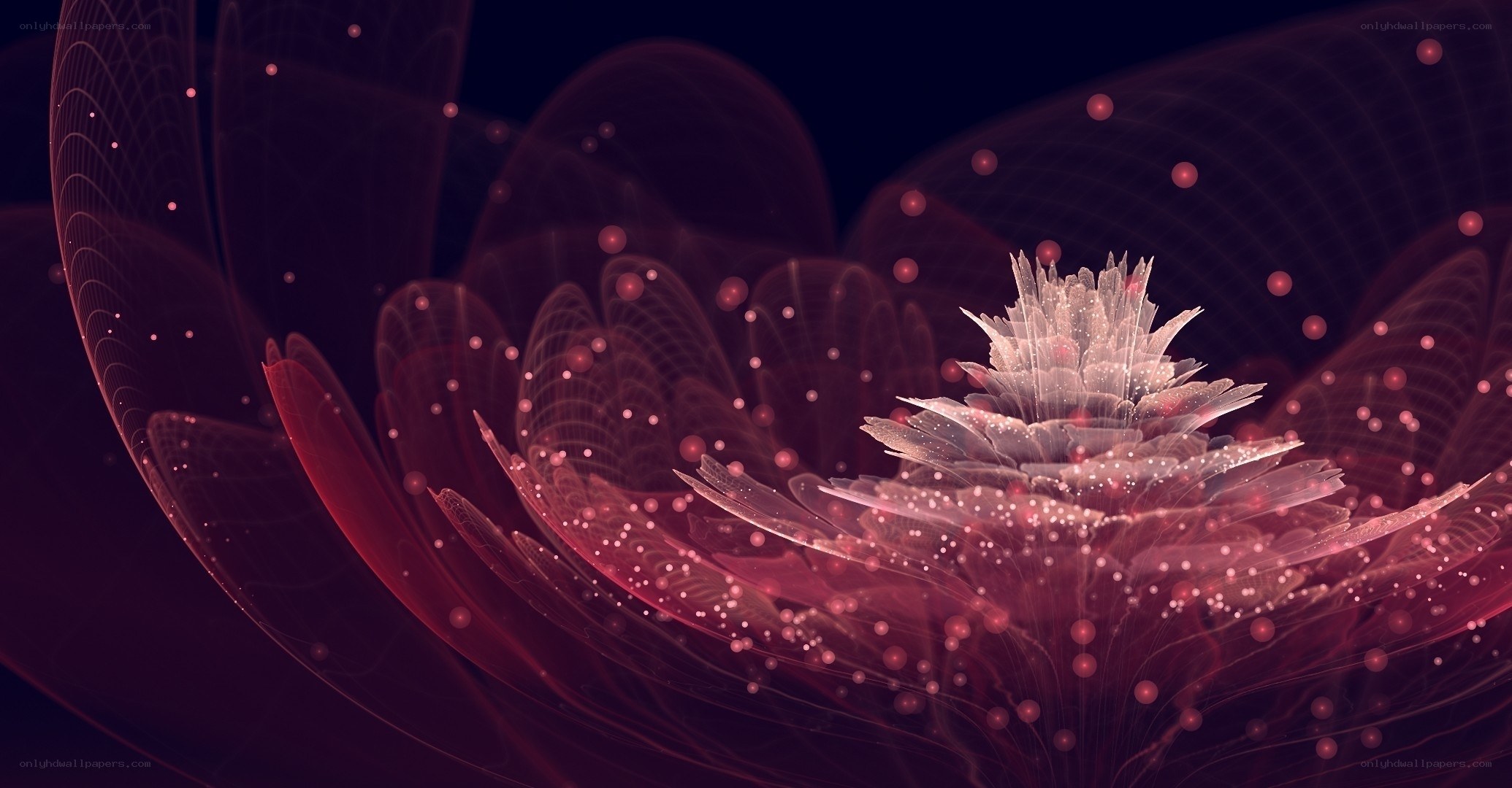 Abstract pink fractal flower