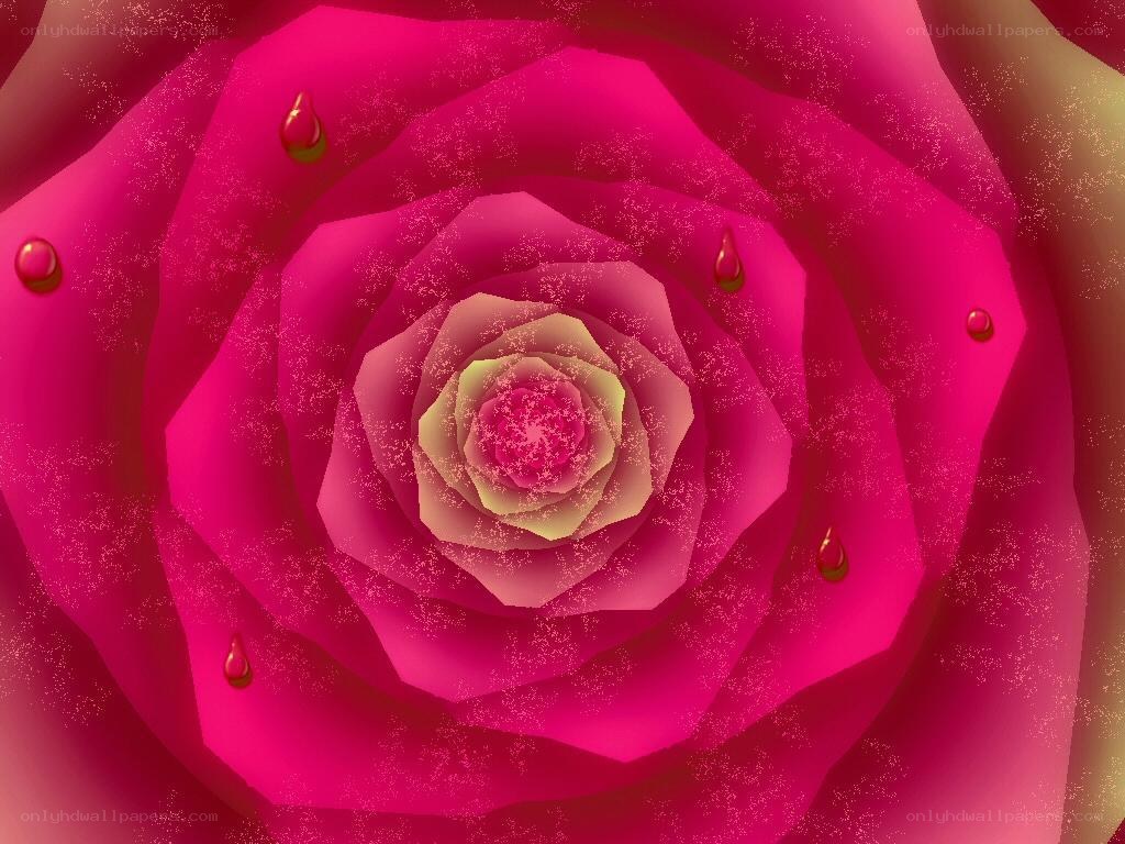 abstract pink rose tunnel