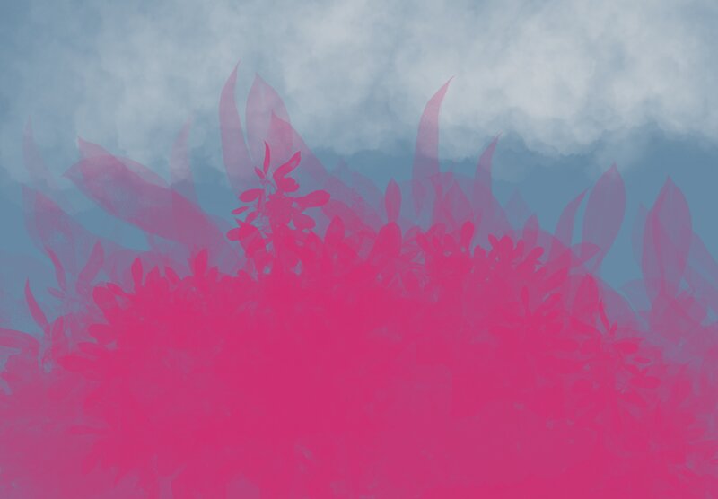 Abstract Plant Forms — Pink