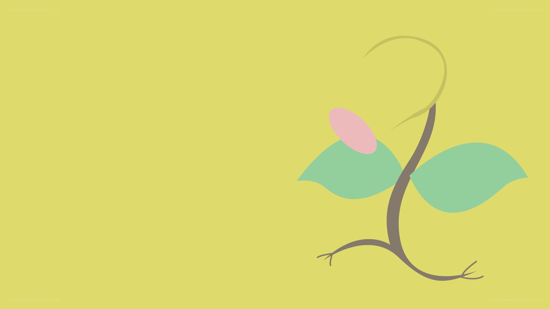 abstract plant illustration