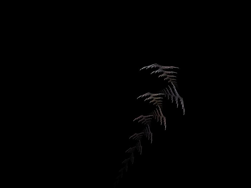 Abstract plant-like structure