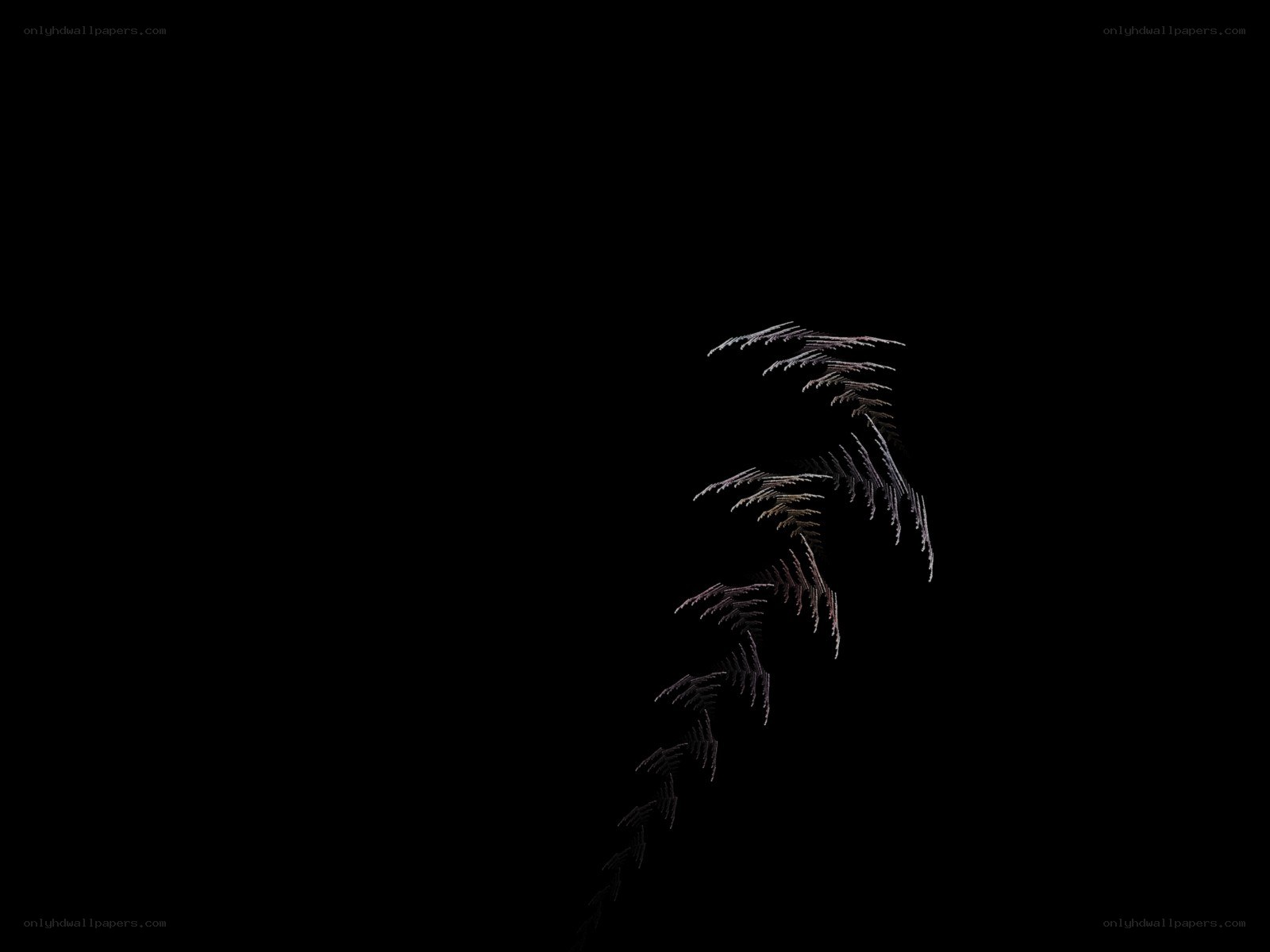 Abstract plant-like structure