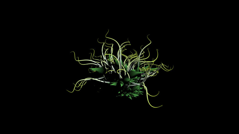 Abstract plant-like structure