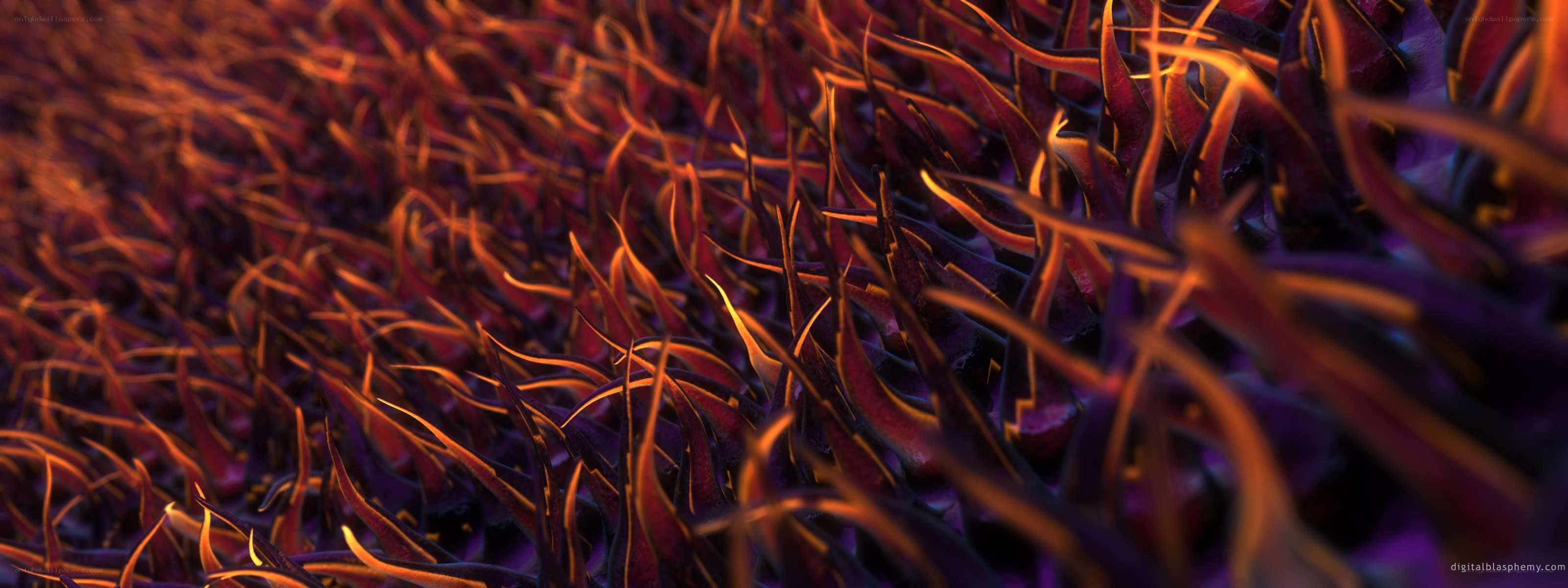 abstract plant-like structures