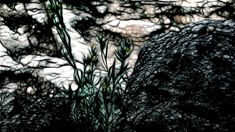 Abstract plant silhouette pattern