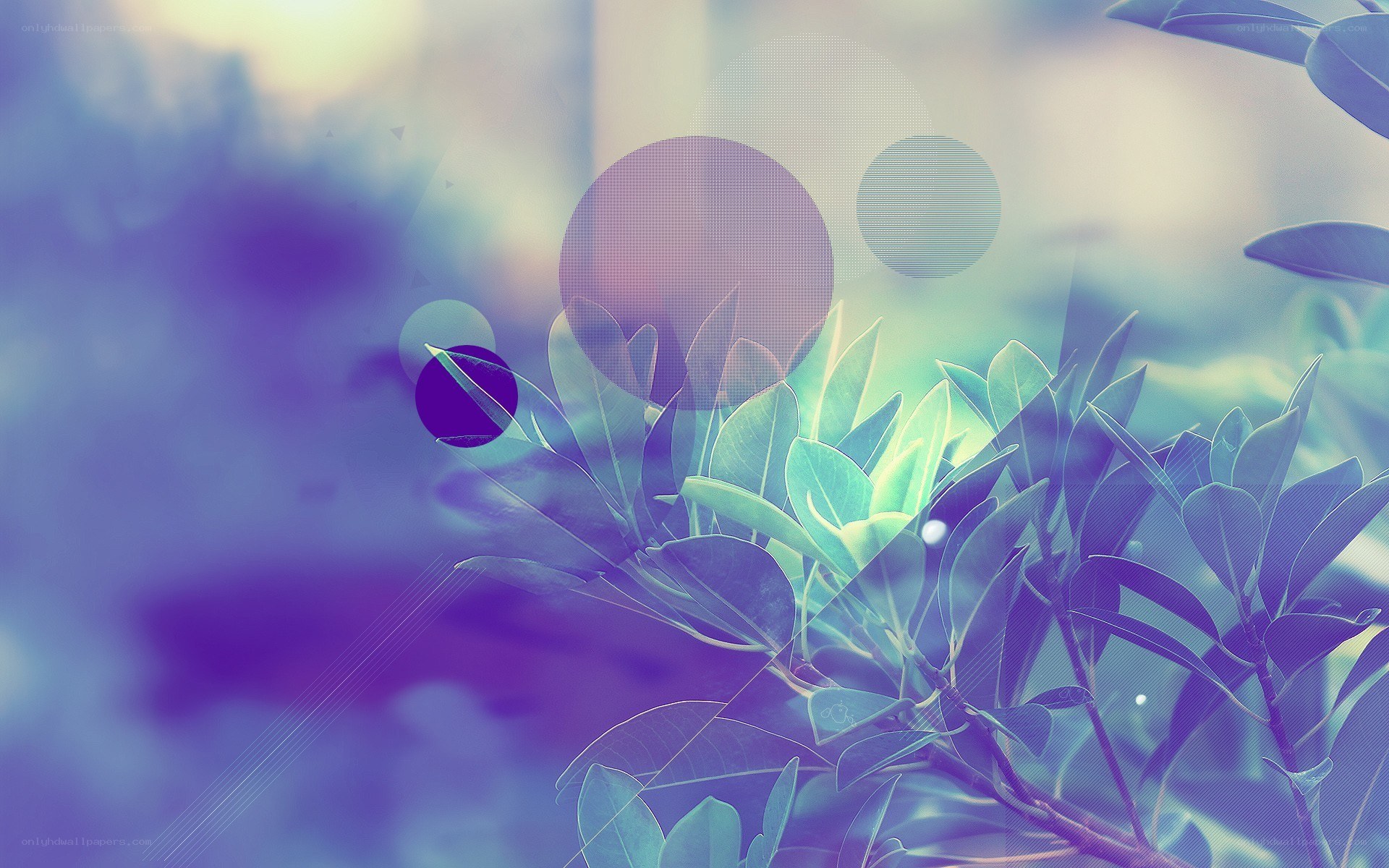 abstract plant with geometric shapes