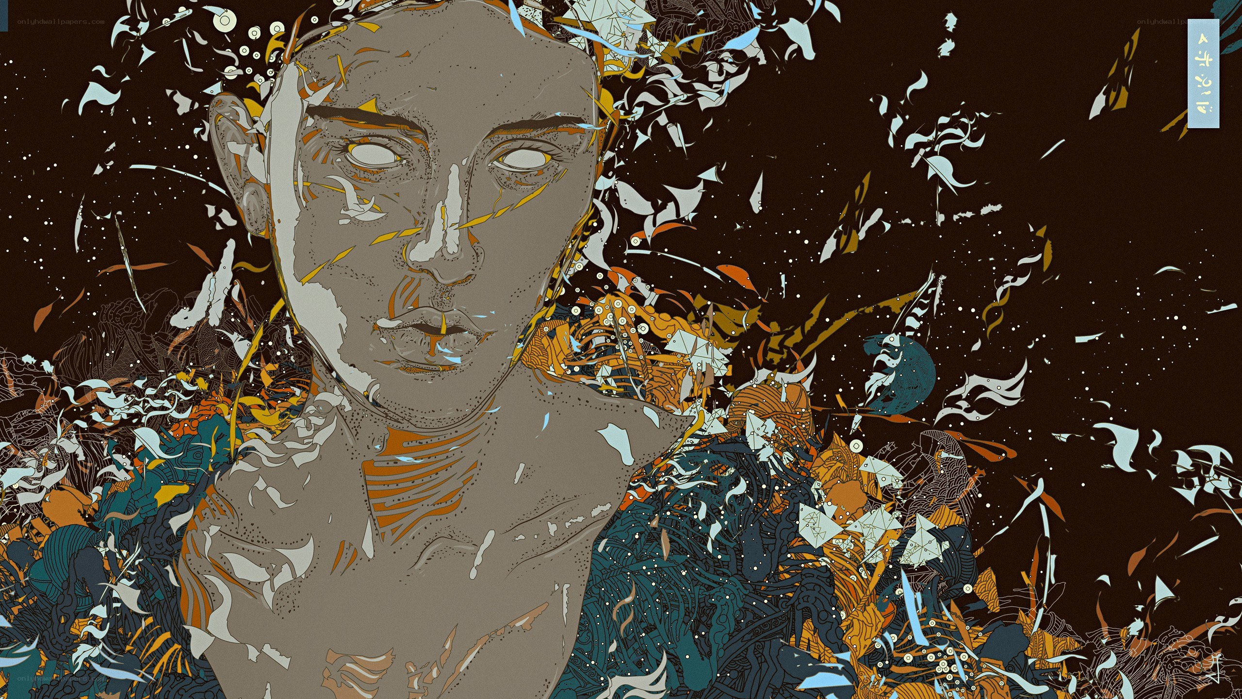 abstract portrait with birds
