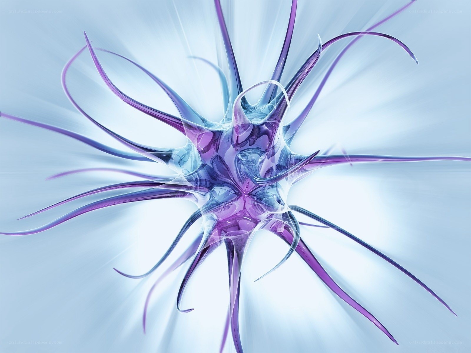 abstract purple and blue design
