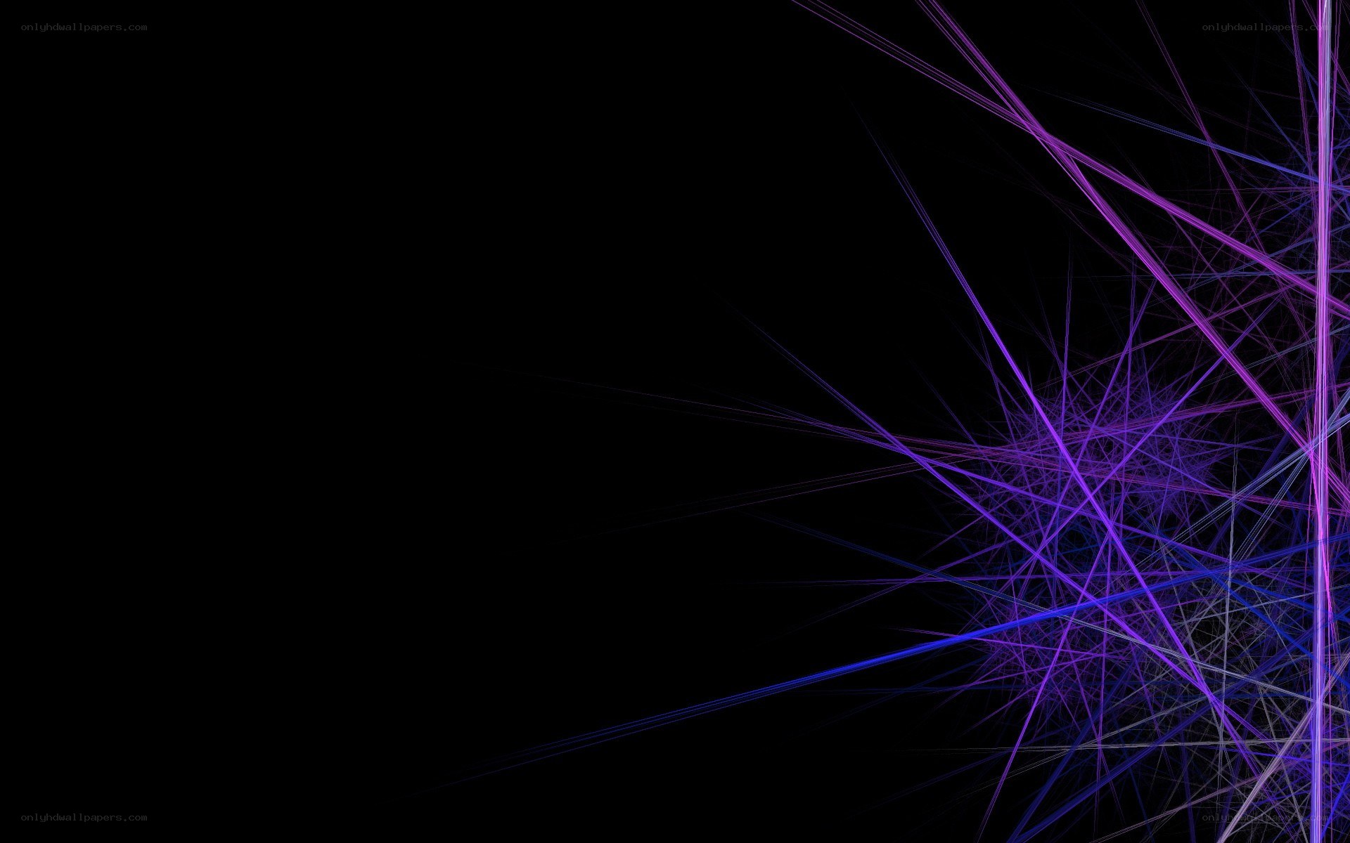 abstract purple and blue lines