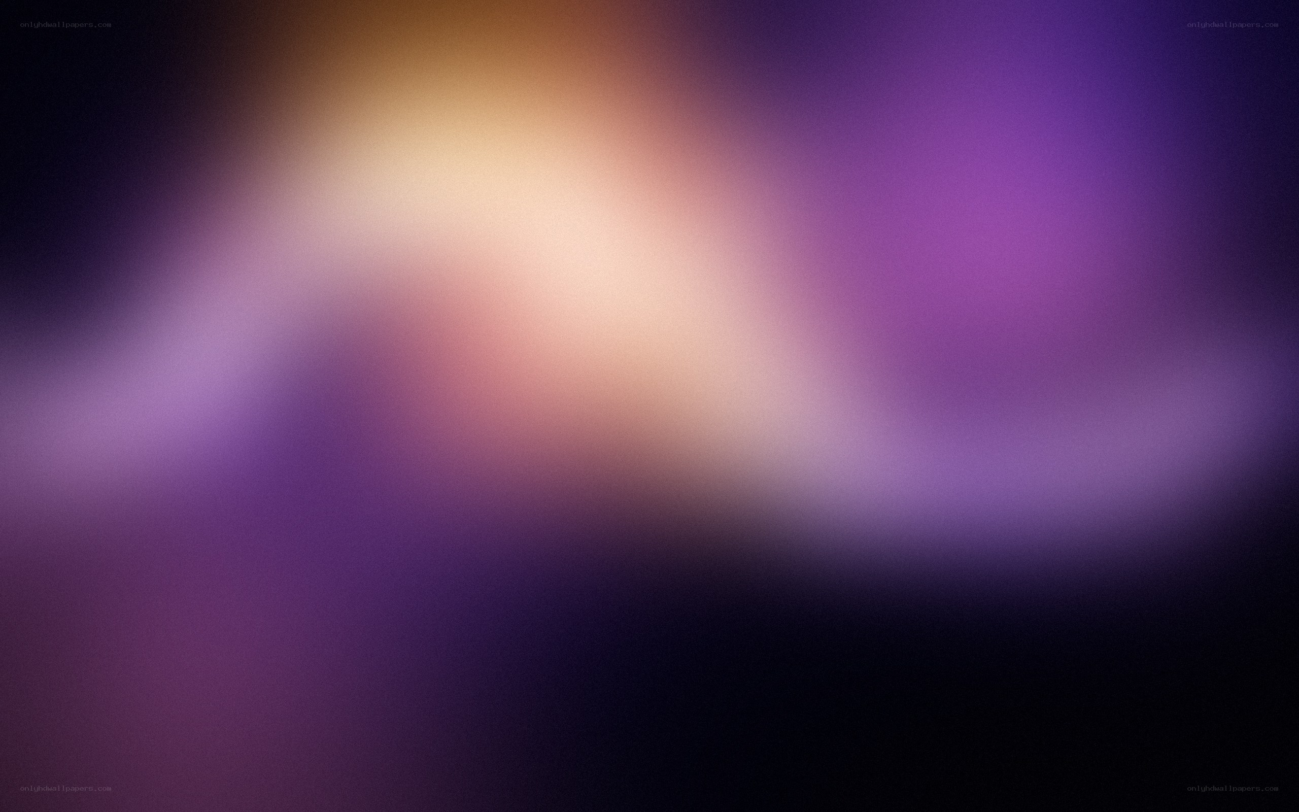 abstract purple and gold blur