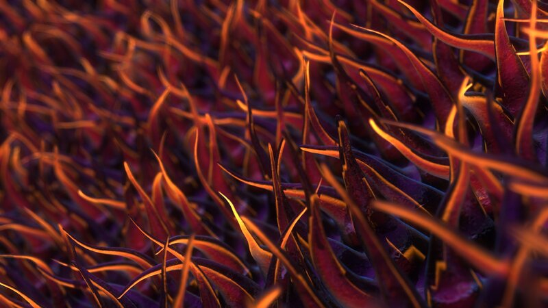 Abstract purple and orange plant life