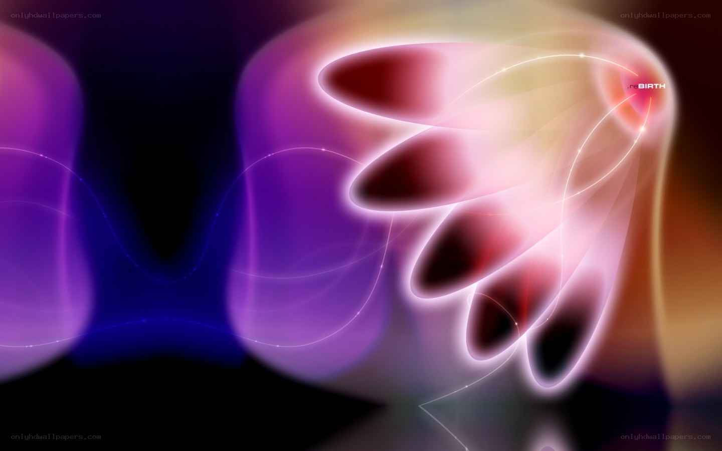 Abstract purple and pink light design