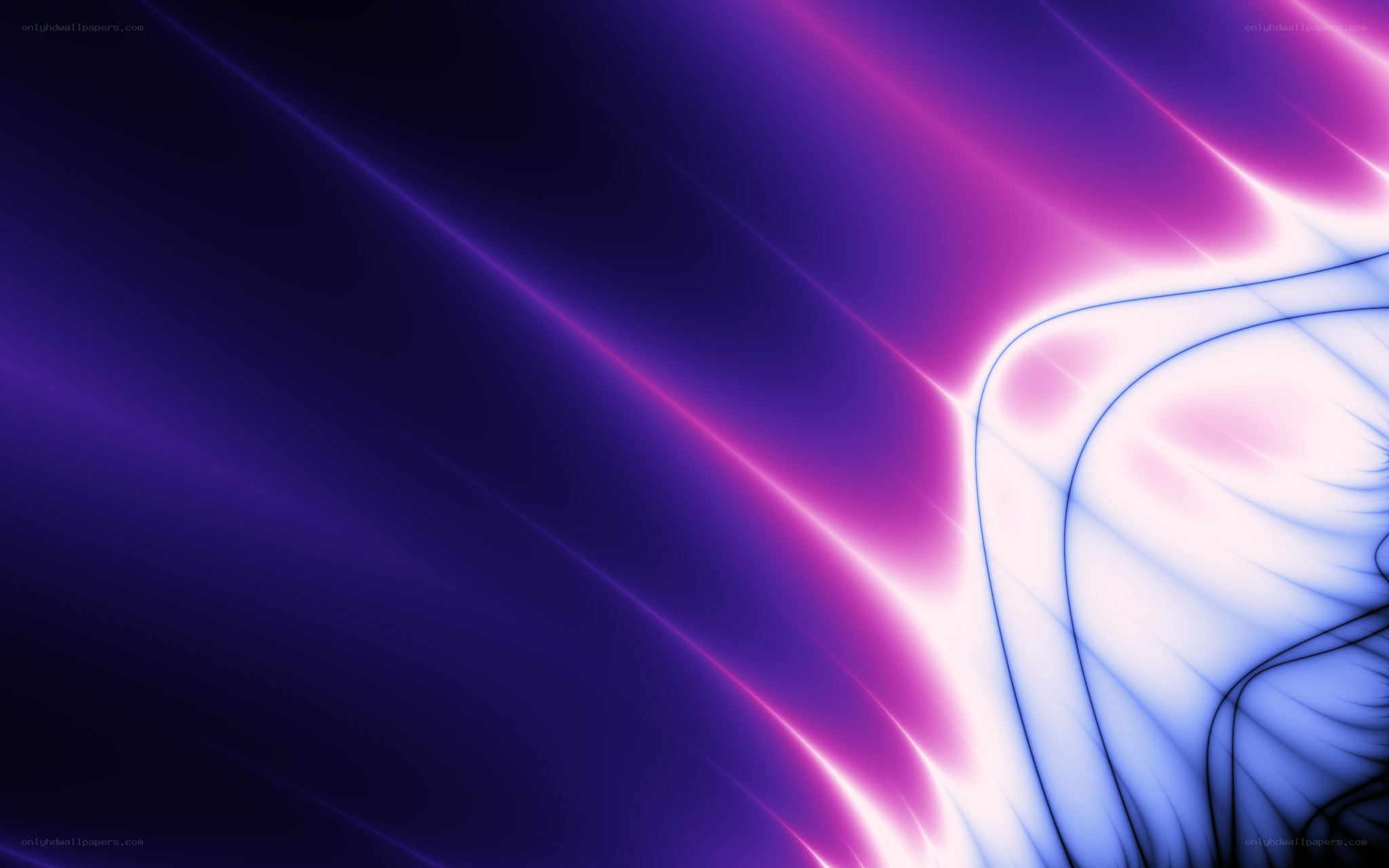 Abstract purple and pink light design
